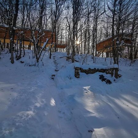 Treehouse Lika 2 Villa Medak Dış mekan fotoğraf