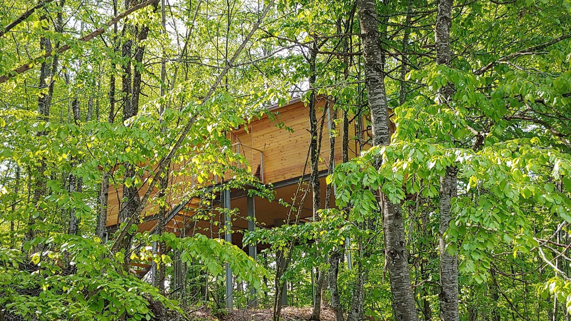 Treehouse Lika 2 Villa Medak Dış mekan fotoğraf