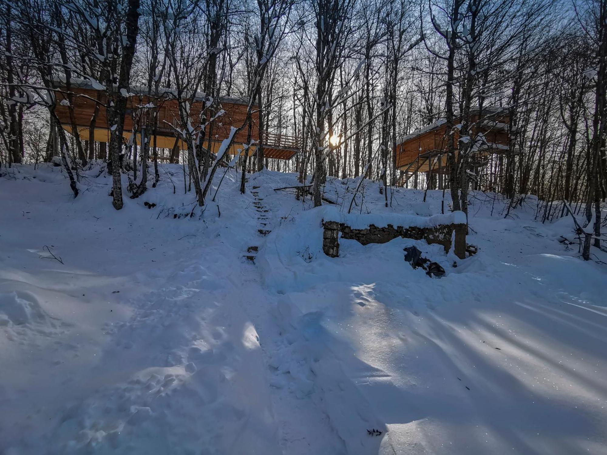 Treehouse Lika 2 Villa Medak Dış mekan fotoğraf